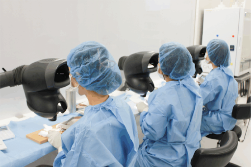 植毛手術の株分け（株磨き）を行っている画像