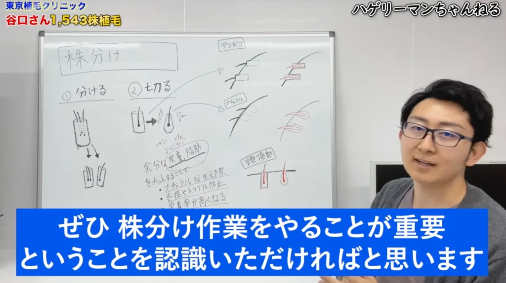 仕上がりの美しさを左右する顕微鏡下での「株分け」