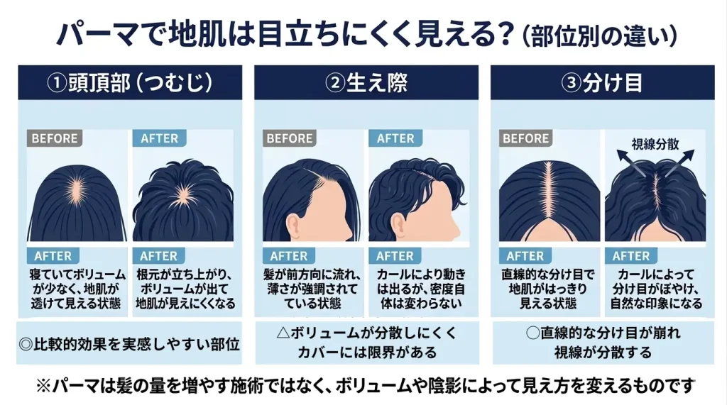 パーマの効果を部位別に説明した図