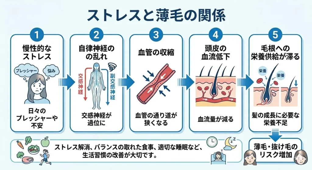 ストレスと薄毛の関係の図解