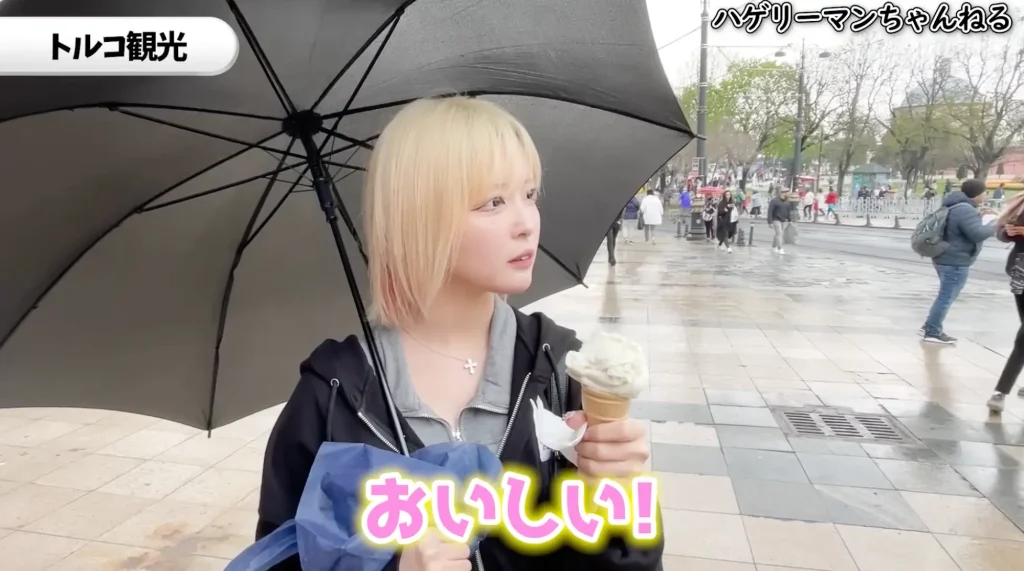 小雨の中、傘をさしてトルコ観光を楽しむハウスダストさん